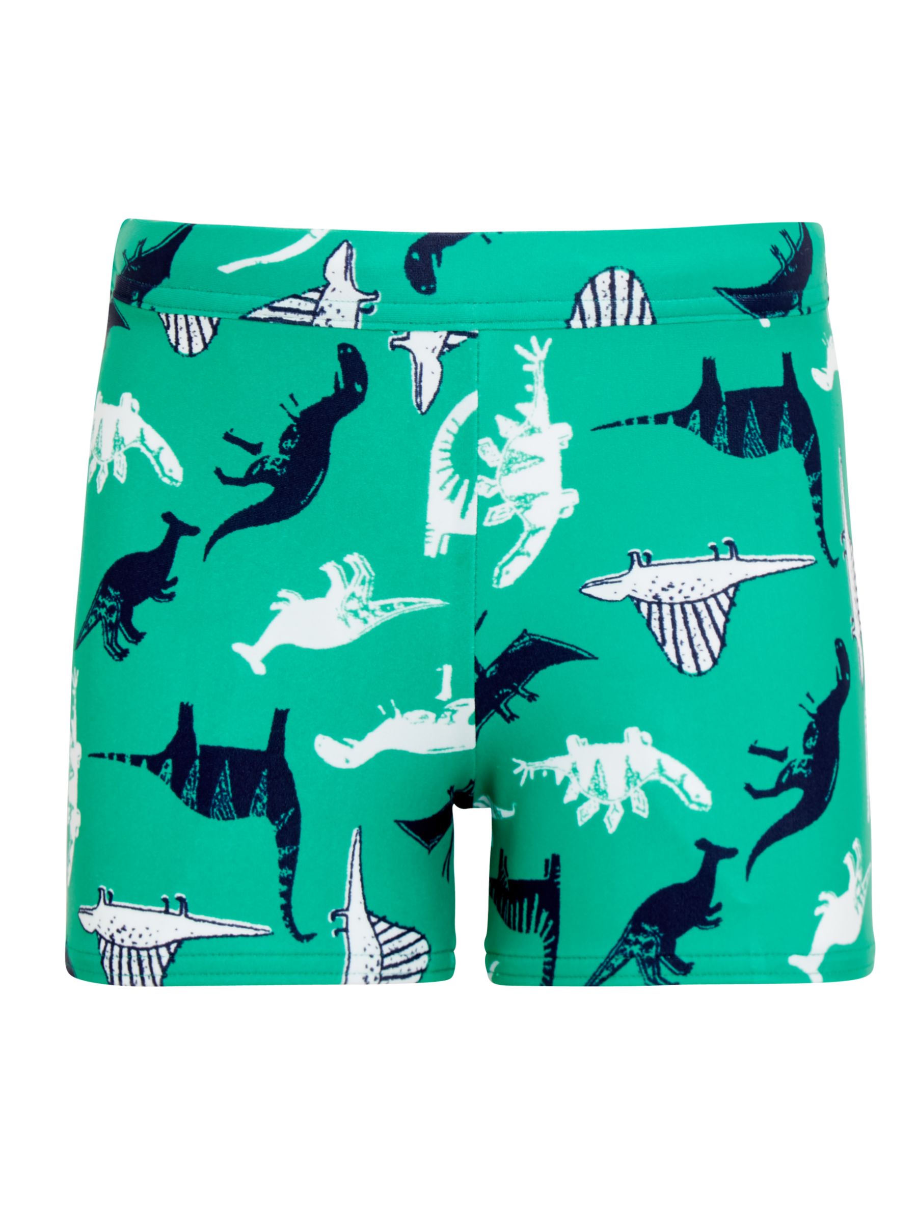 boys dinosaur swim trunks