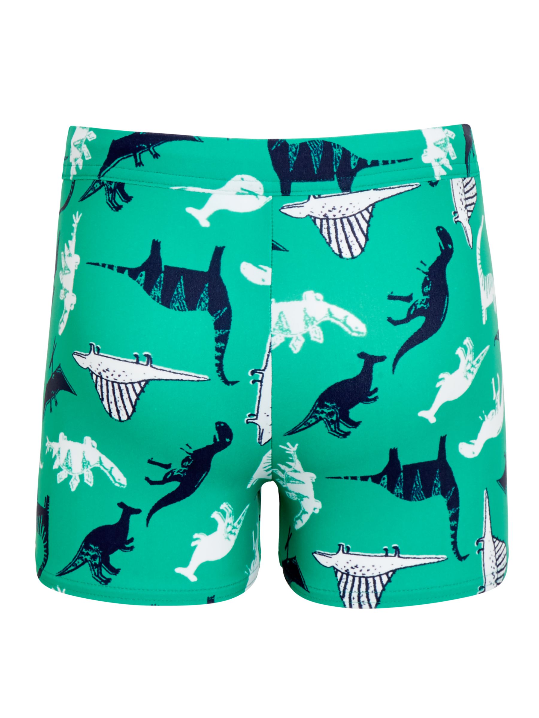 boys dinosaur swim trunks