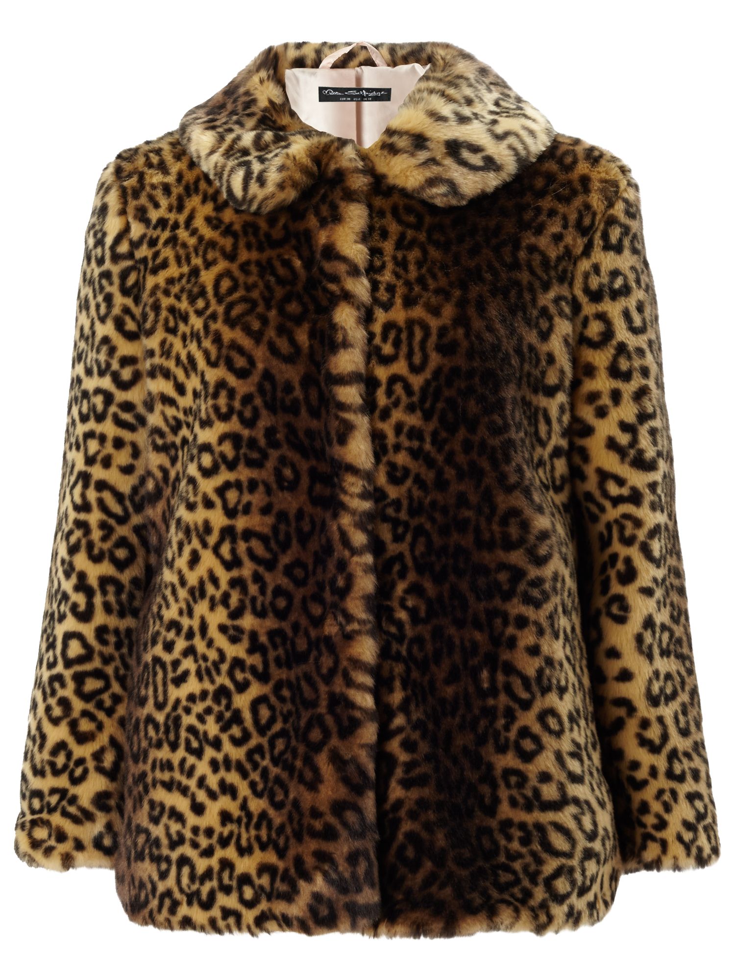 Miss Selfridge Petite Leopard Coat, Mid Brown