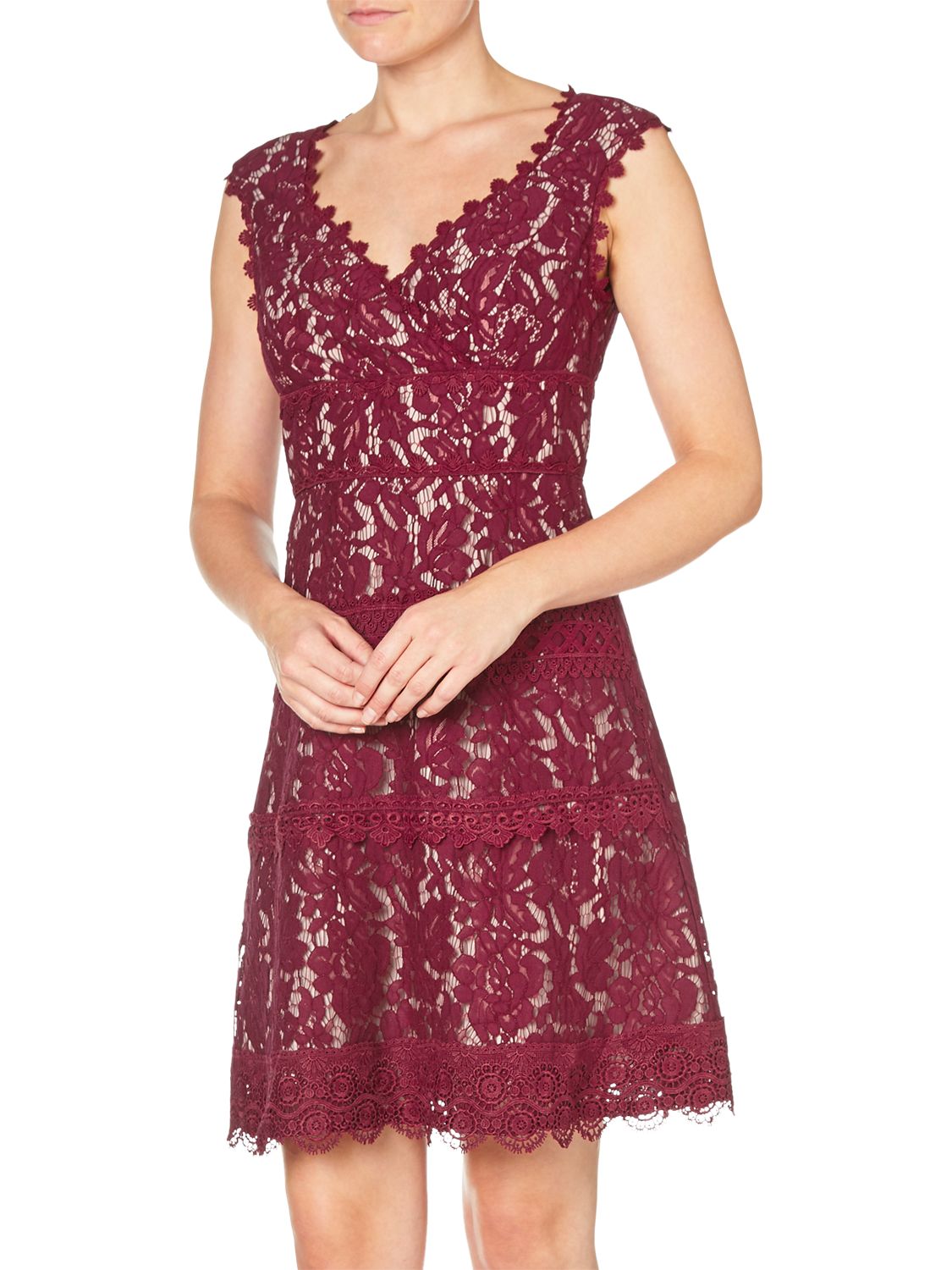 Adrianna Papell Cynthia Lace Fit and Flare Dress, Black Cherry/Blush