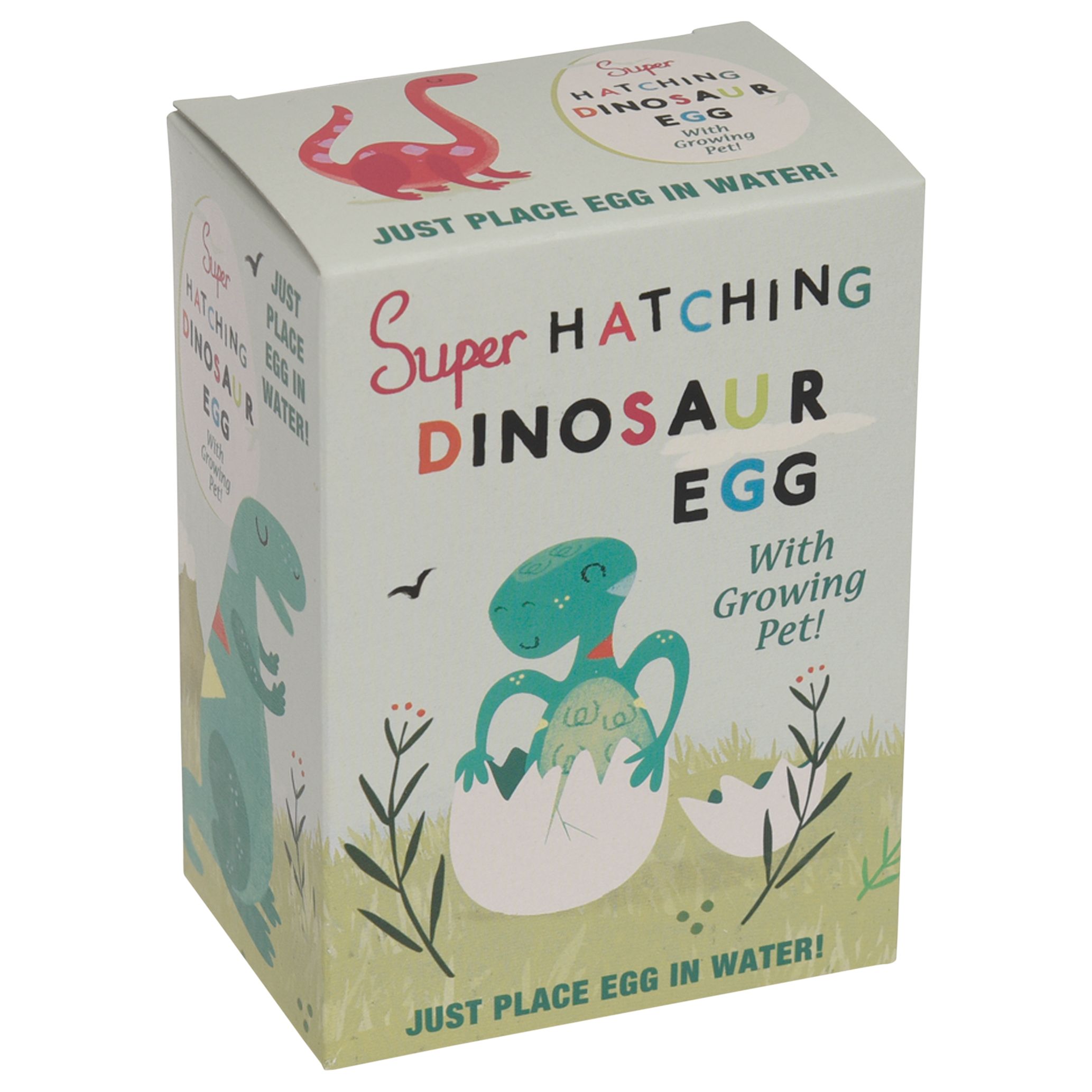 Rex London Hatch Your Own Dinosaur Egg