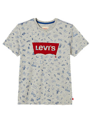 Levi's Boys' Flockwin Printed T-Shirt, Grey