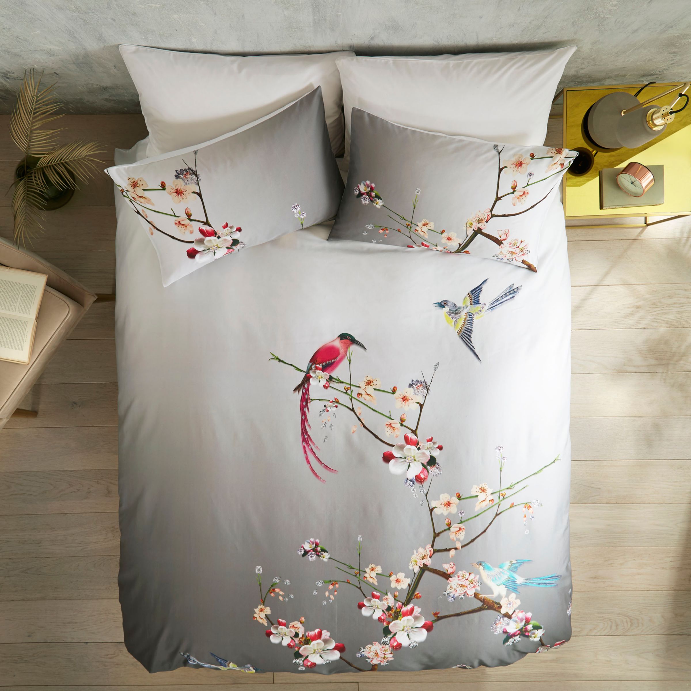 Ted Baker Flight Of The Orient Cotton Bedding Grey At John Lewis