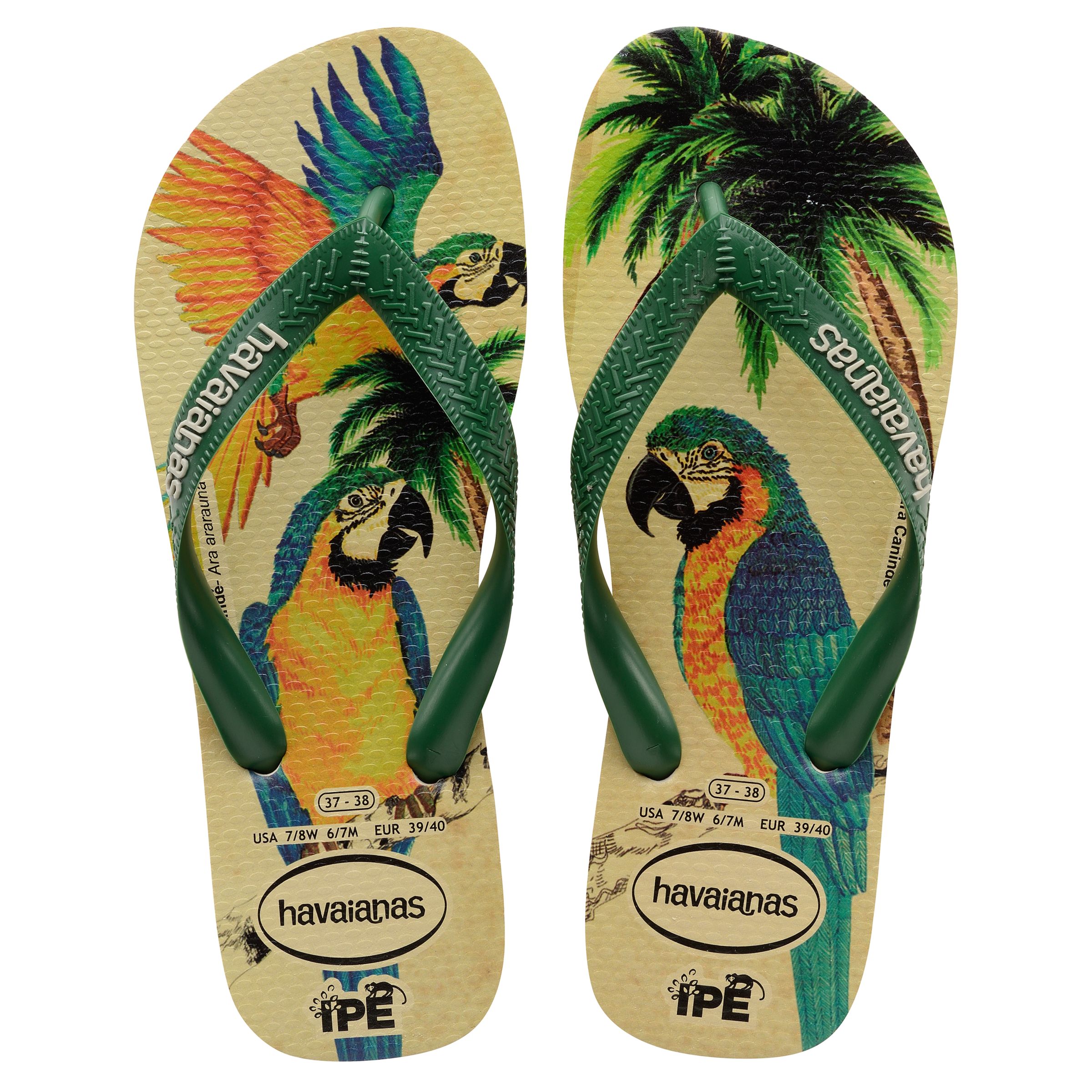 flite flip flops