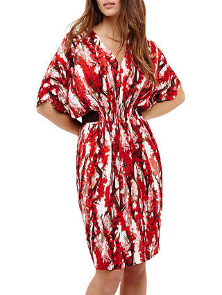 Phase Eight Georgia Floral Print Dress, Red/Ivory