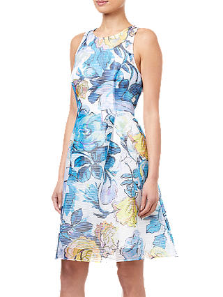 Adrianna Papell Floral Printed Ribbed Organza Dress, Blue/Multi