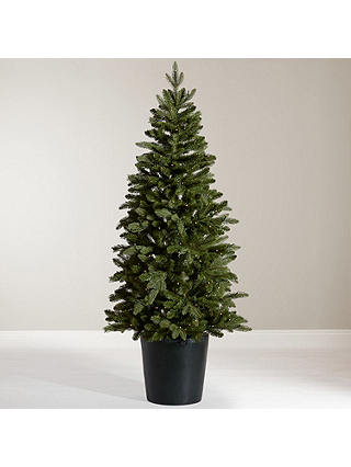 John Lewis & Partners Bala Potted Pre-lit Christmas Tree, 7ft