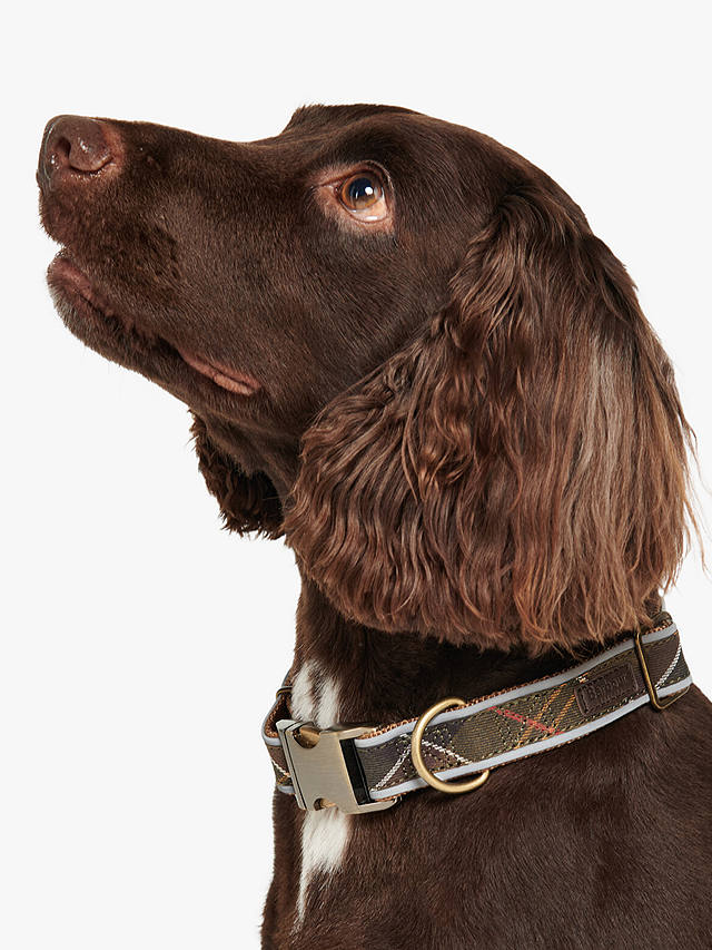 Barbour Reflective Tartan Dog Collar, Small