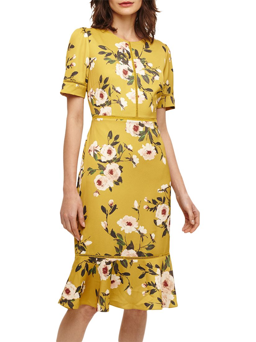 Phase Eight Hilary Floral Dress, Chartreuse at John Lewis & Partners