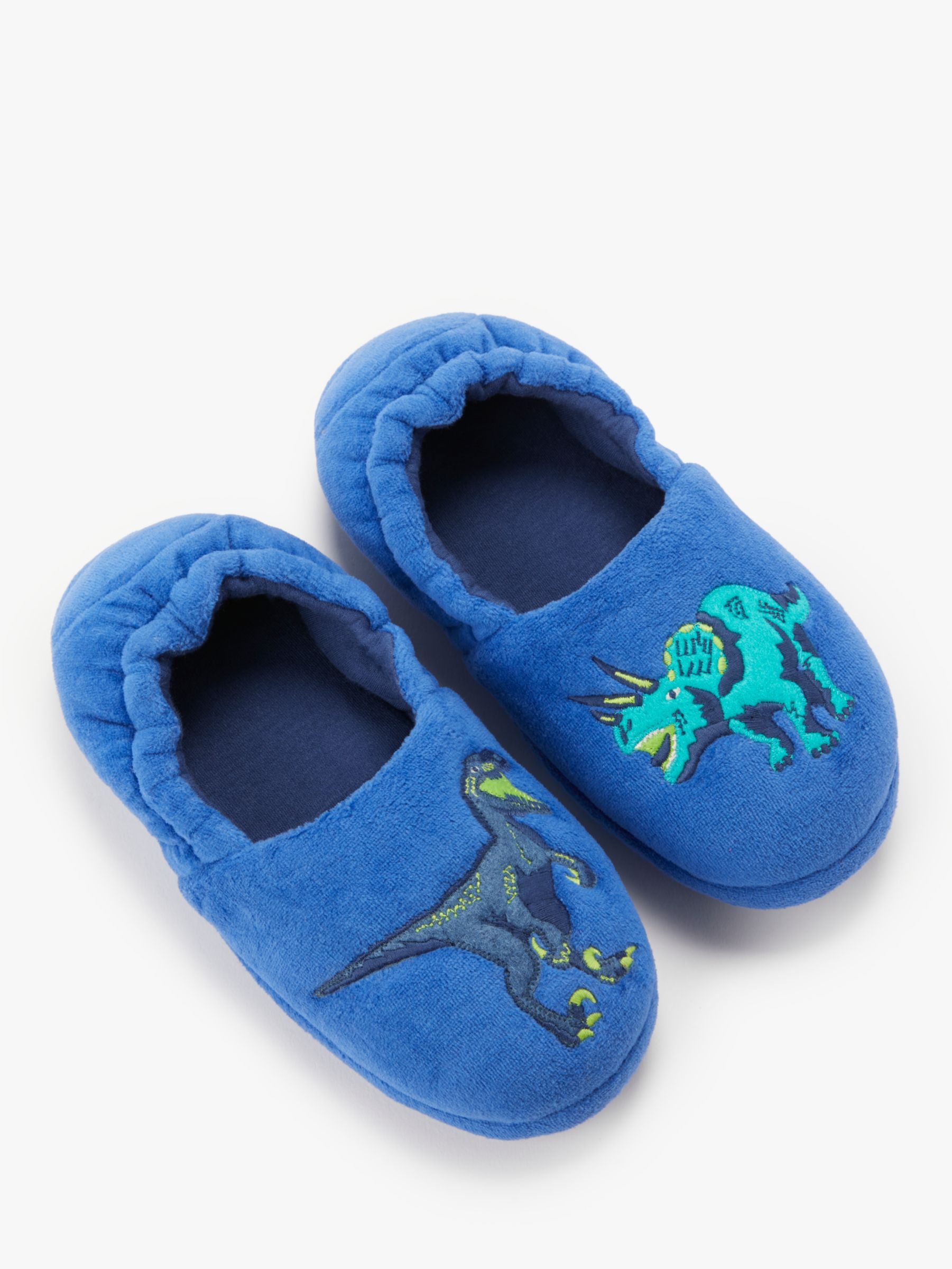 blue dinosaur slippers