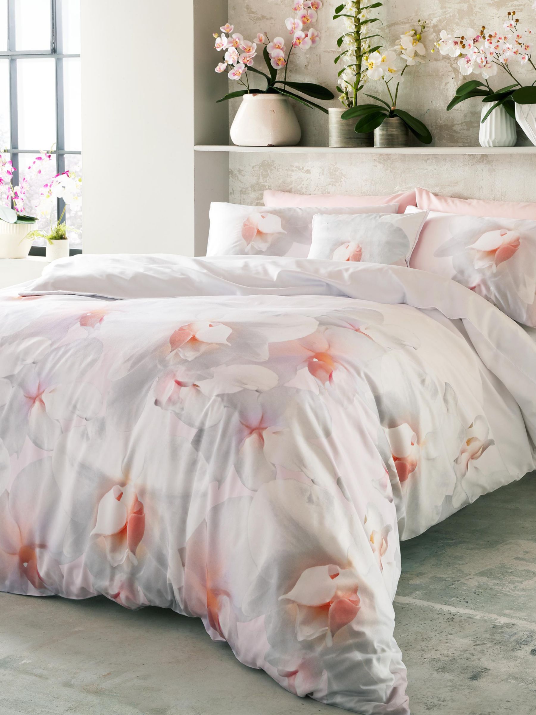 Ted Baker Cotton Candy Bedding At John Lewis Partners