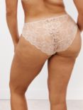 AND/OR Wren Lace Bikini Knickers