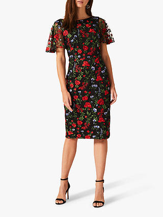 Phase Eight Dorothea Embroidered Dress, Black/Multi