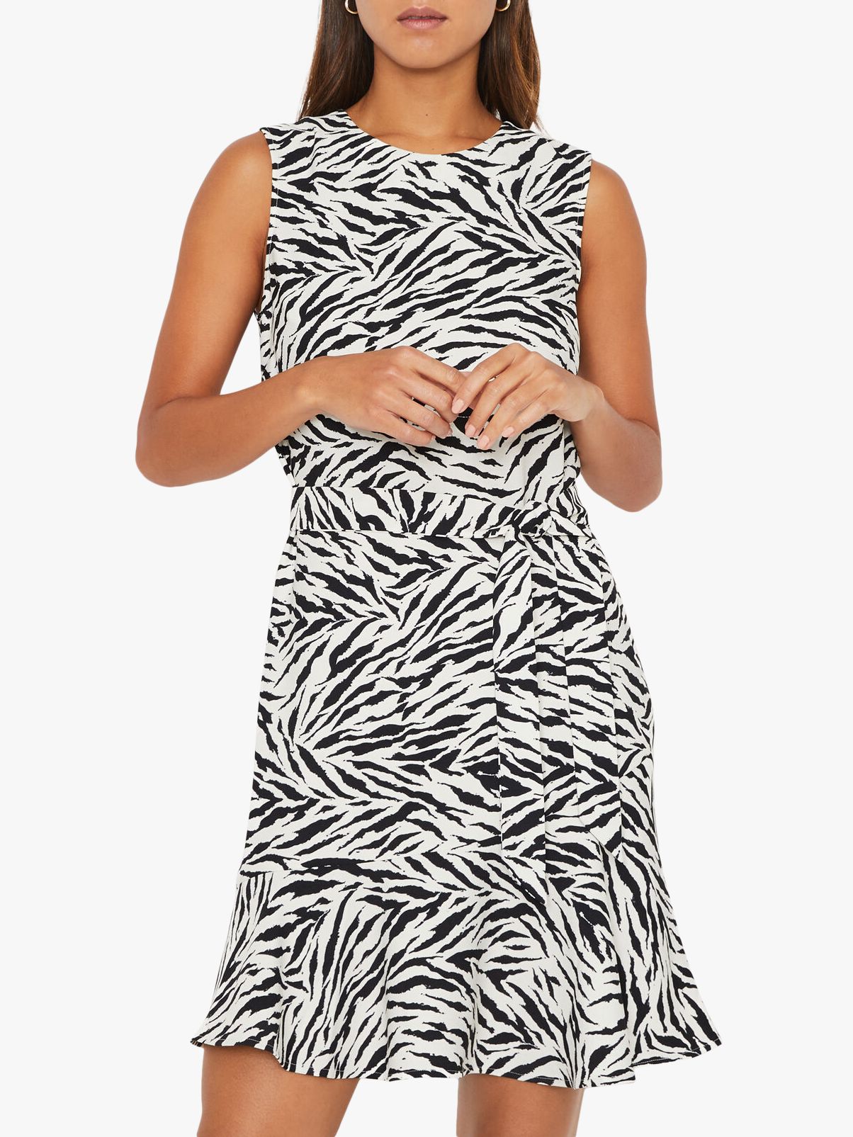 warehouse zebra print dress