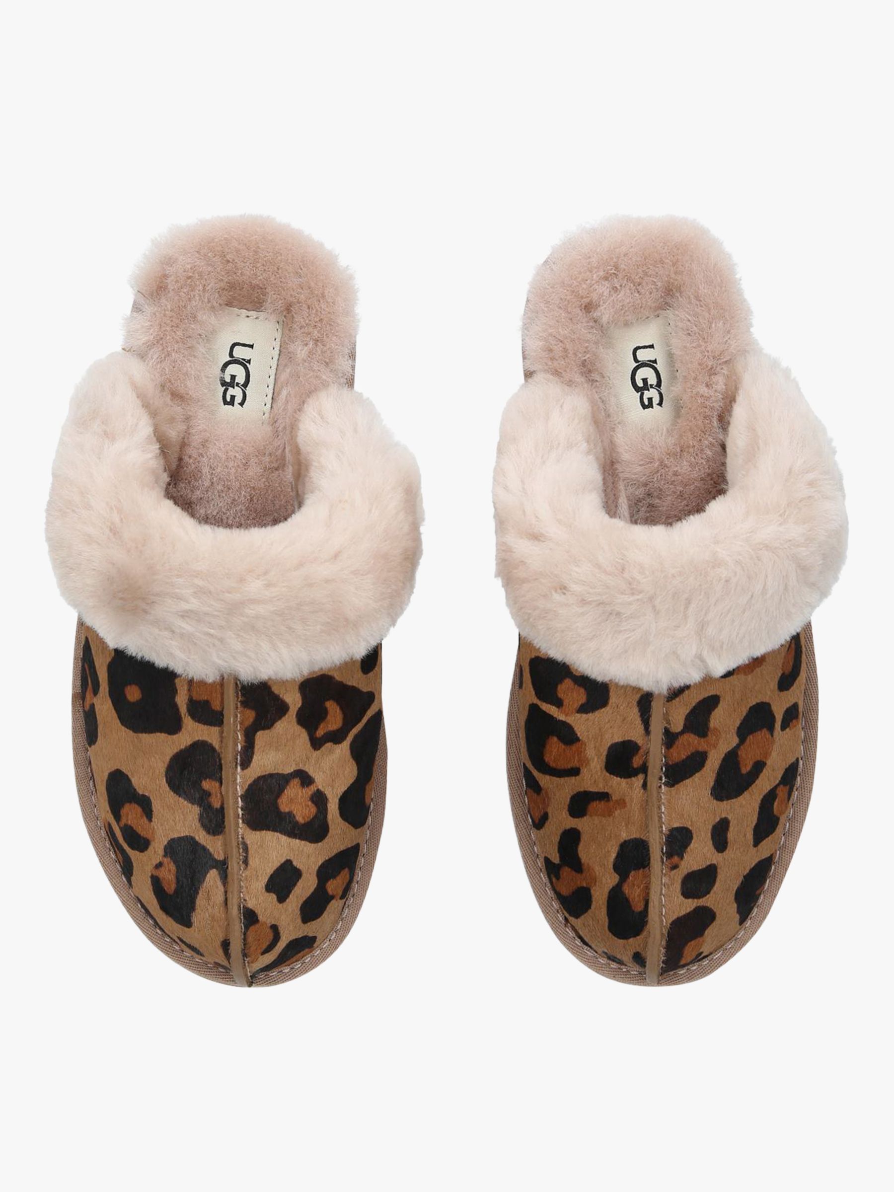 يقاوم leopard print ugg slippers 