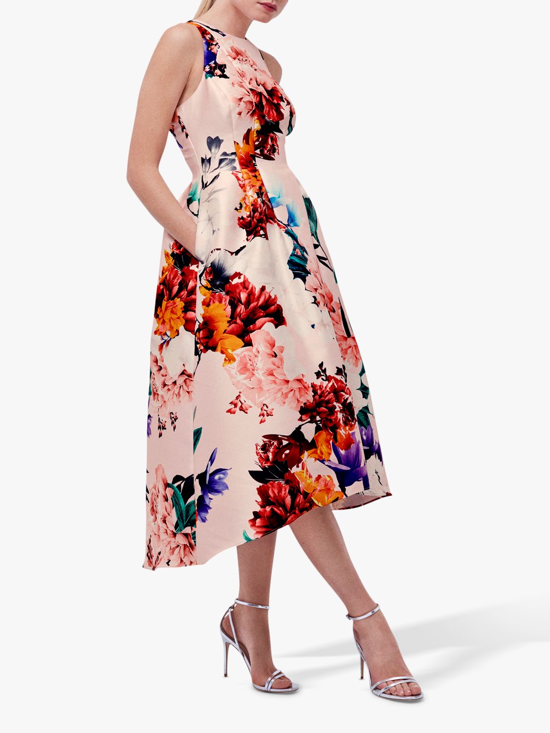 Coast Floral Dress Online Store, UP TO 58% OFF | www 