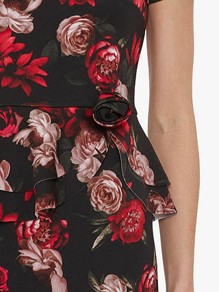 Gina Bacconi Glorielle Floral Dress, Black/Red