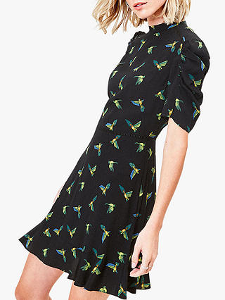 Oasis Conversational Bird Print Skater Dress, Black/Multi