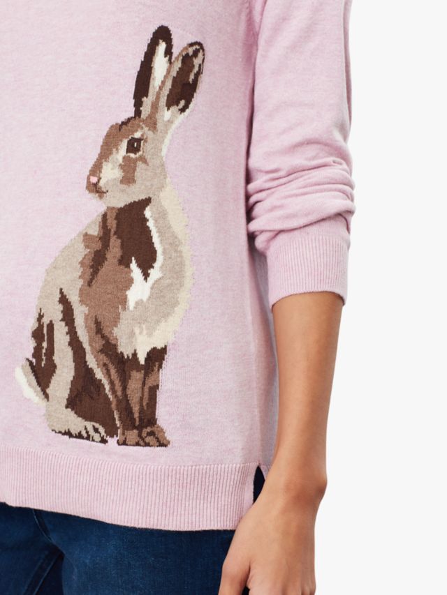 Joules on sale hare jumper