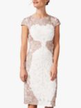 Phase Eight Nori Lace Occasion Dress, Ivory/Taupe