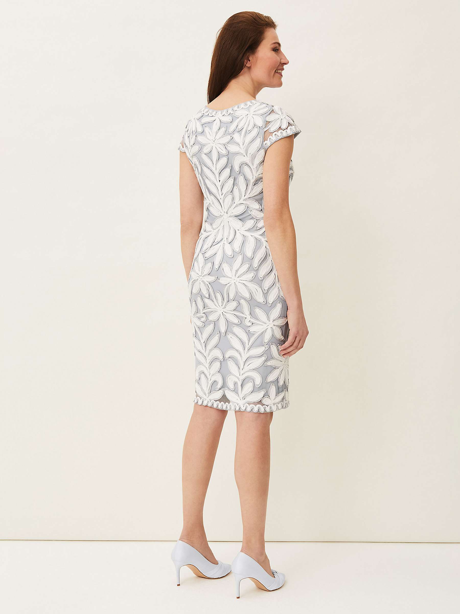 Buy Phase Eight Isobel Tapework Dress Online at johnlewis.com