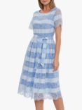 Gina Bacconi Seisia Floral Embroidery Stripe Flared Dress, Light Blue, Light Blue