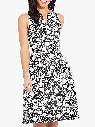 Adrianna Papell Floral Fit and Flare Dress, Black/Ivory