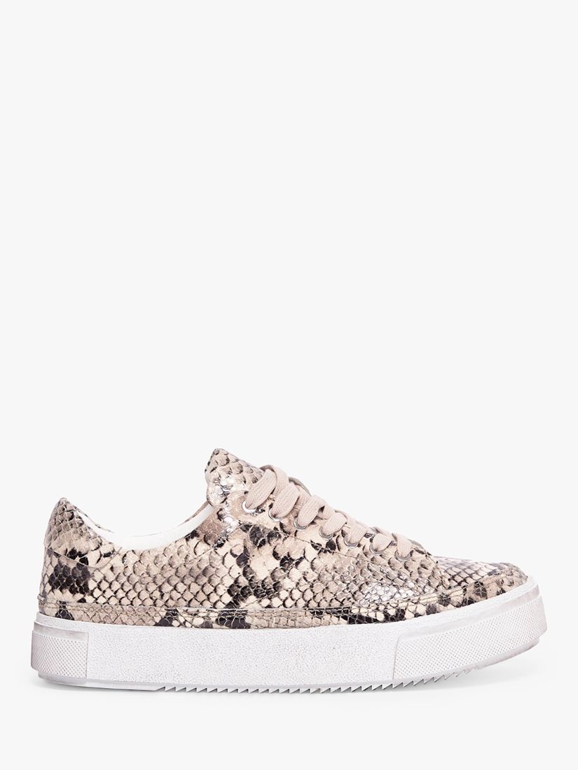 AllSaints Trish Leather Snakeskin Lace Up Trainers, Nude