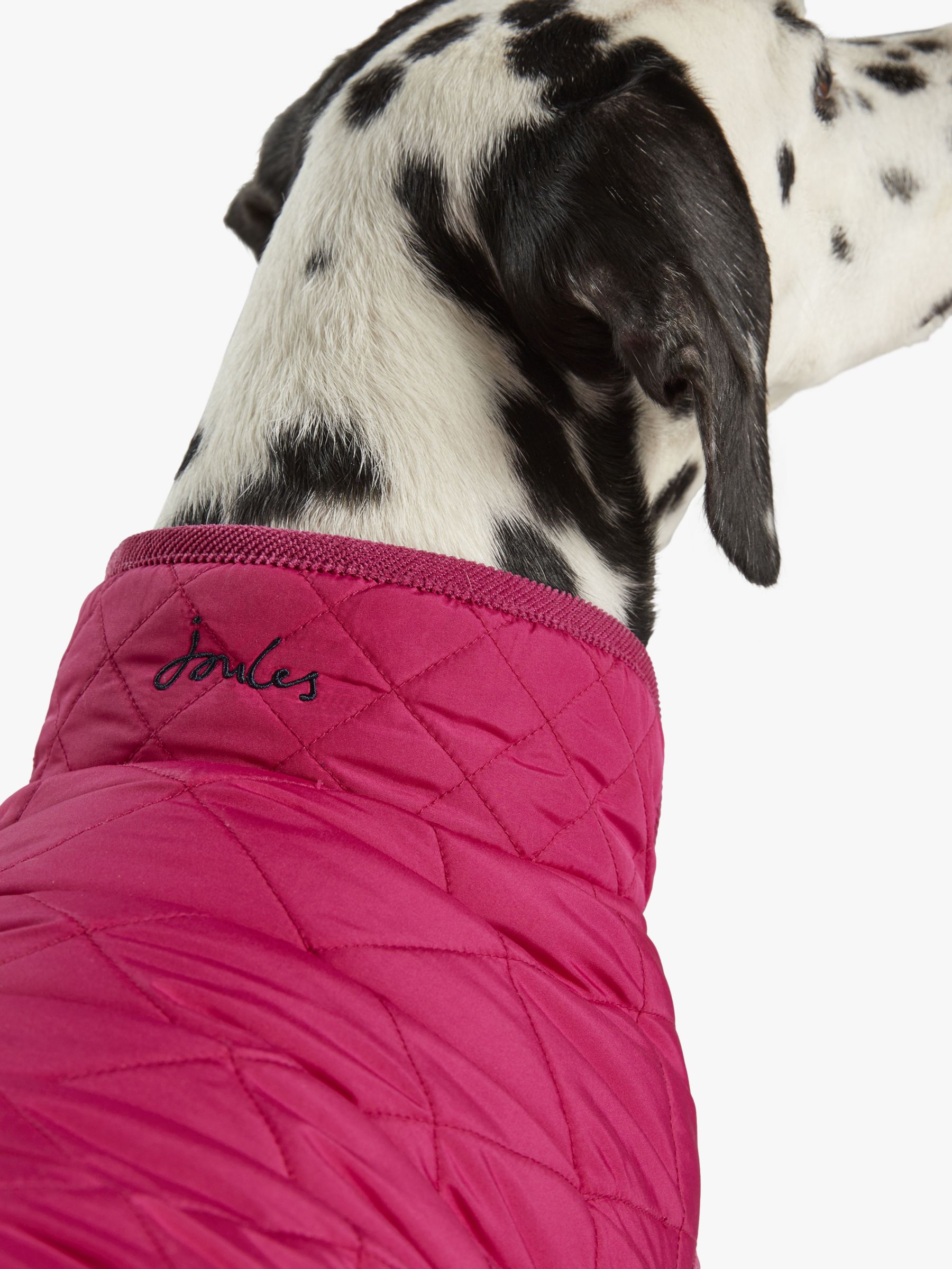 john lewis dog coat