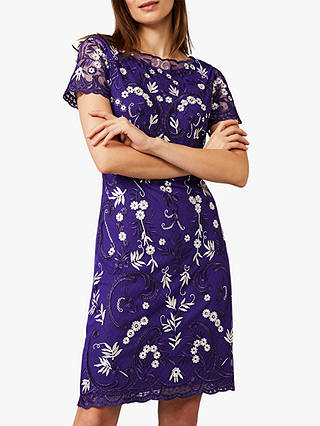Phase Eight Floris Floral Embroidered Knee Length Dress, Electric Blue/Ivory