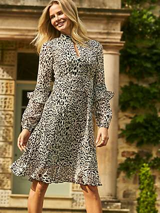 Sosandar Leopard Print Fit And Flare Ruffle Dress