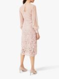 Phase Eight Aldora Chiffon Lace Midi Dress, Antique Rose