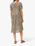 Phase Eight Jemmy Leaf Knee Length Dress, Khaki