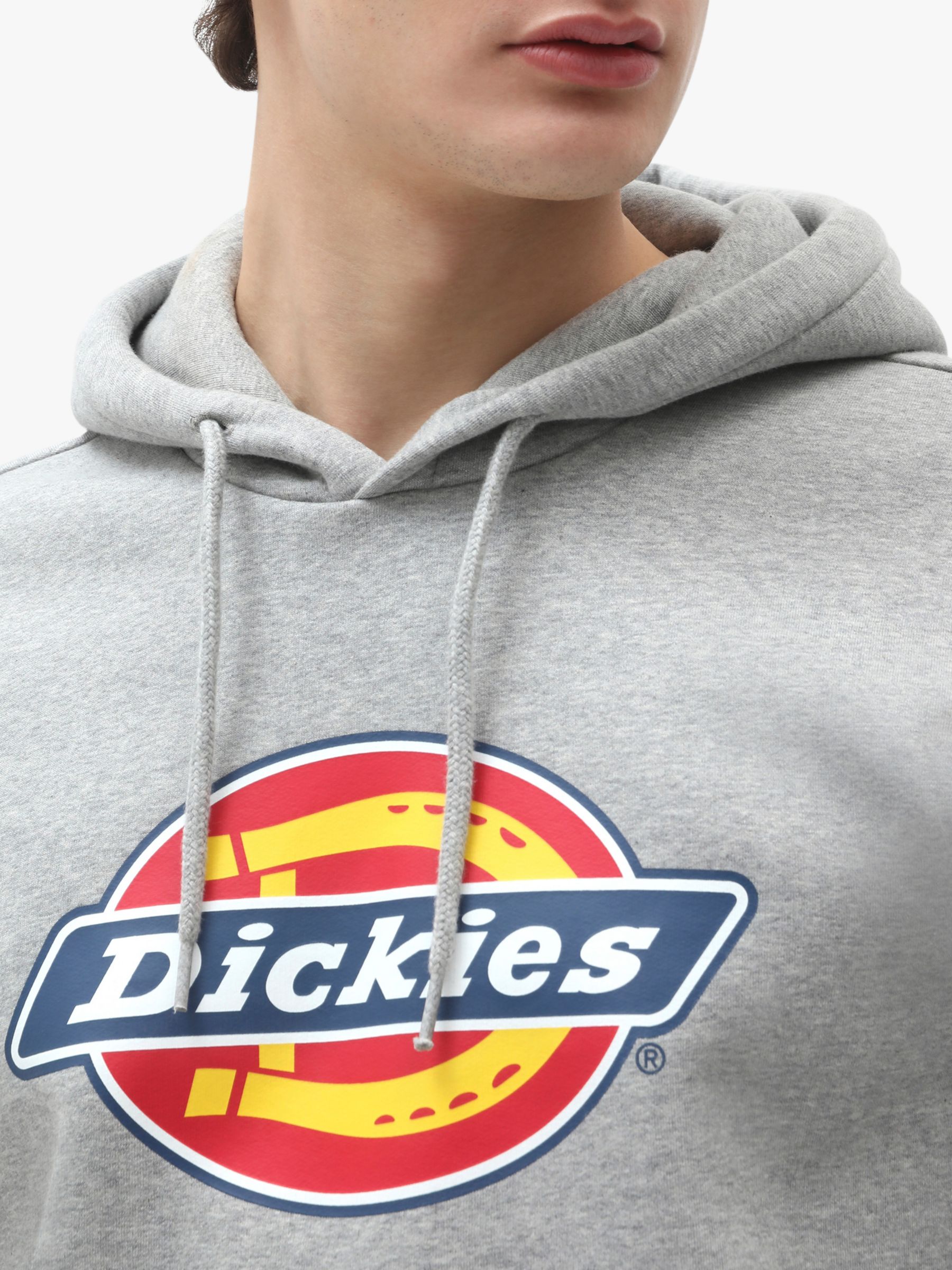 Худи дикис. Dickies Hoodie. Худи Dickies. Толстовка Dickies. Dickies логотип.