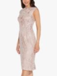 Adrianna Papell Embroidered Midi Dress, Dusty Rose