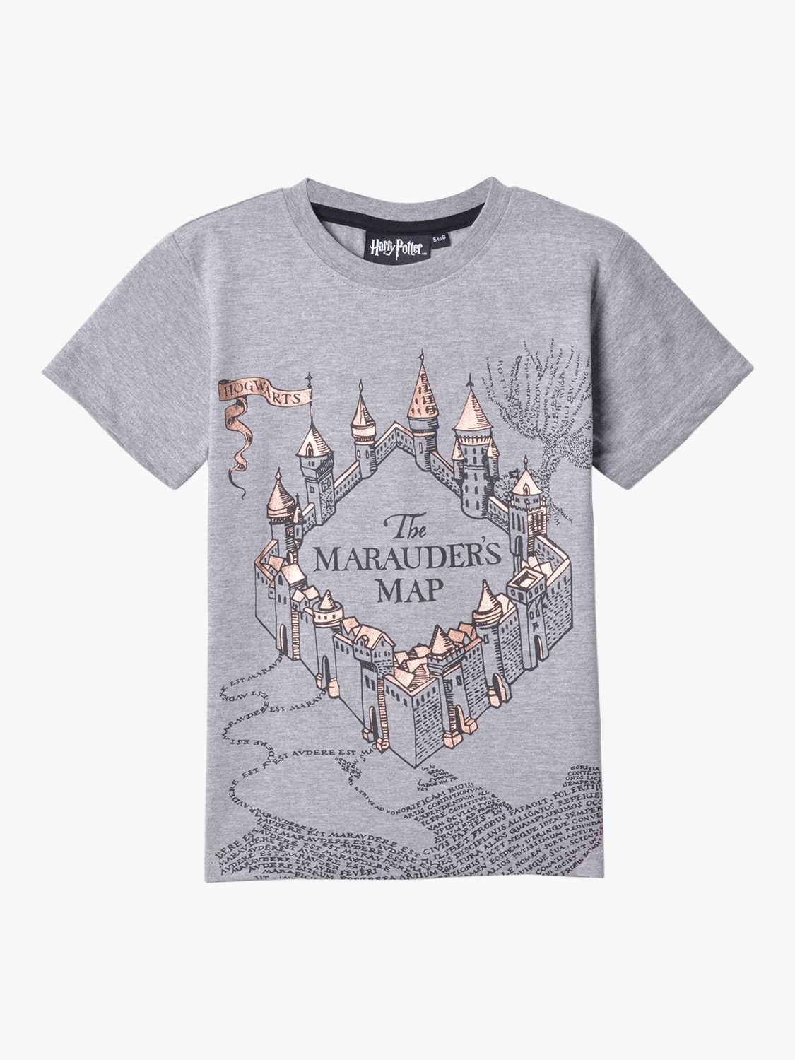 Fabric Flavours Kids' Harry Potter Marauders Print Short Sleeve T-Shirt, Grey, 3-4 years
