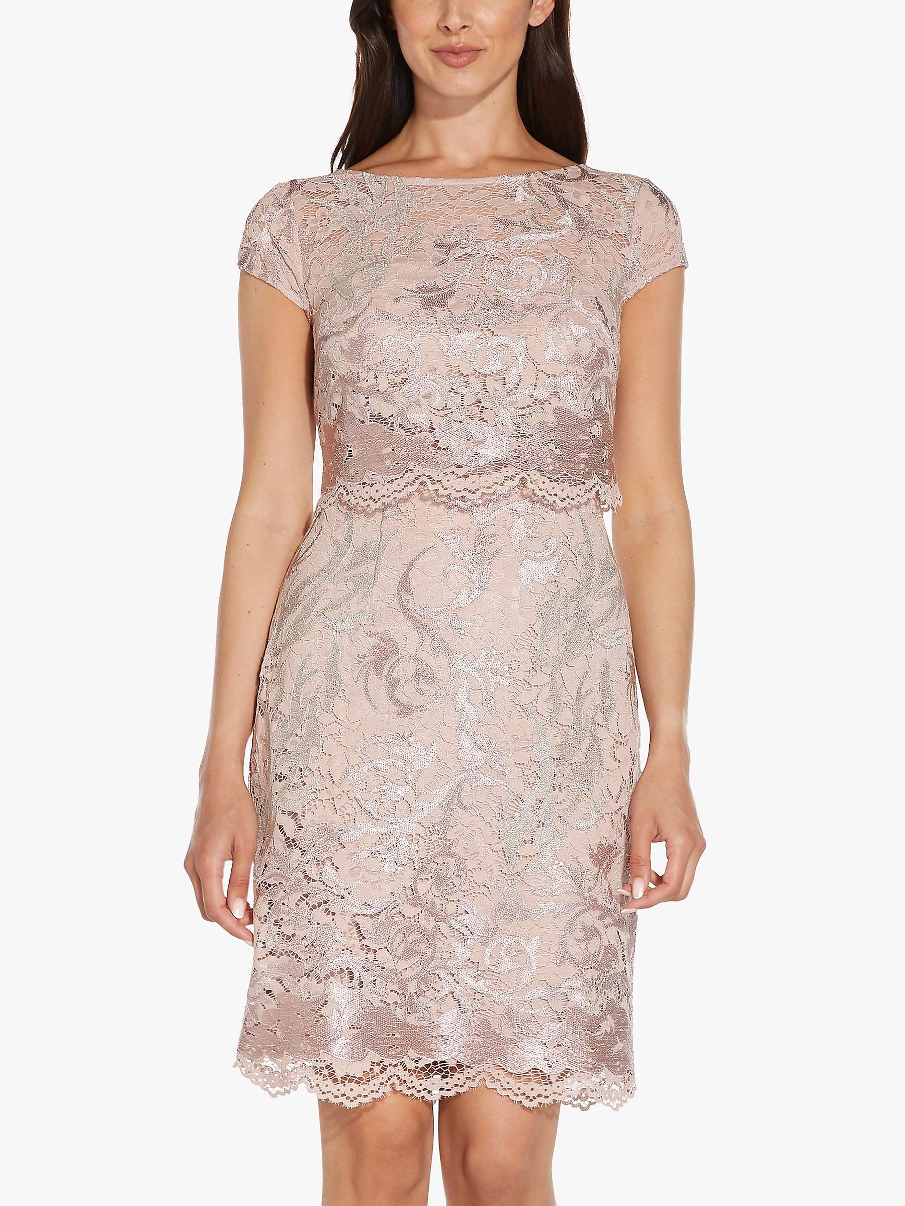 Buy Adrianna Papell Embroidered Lace Dress, Dusty Rose Online at johnlewis.com