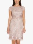 Adrianna Papell Embroidered Lace Dress, Dusty Rose