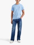 Levi's 501 Go Back Home Straight Jeans, Blue