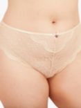 Oola Lingerie Scallop Lace Knickers