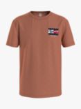 Tommy Jeans Vintage Flag Crew Neck T-Shirt