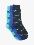 John Lewis & Partners Scuba Diving Cotton Blend Socks, Pack of 3, Blue/Multi