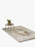 Gooch Luxury Distressed Medallion Rug