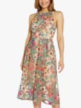 Adrianna Papell Embroidered Floral Midi Dress, Bright Pink/Multi
