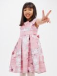 John Lewis Heirloom Collection Kids' Organza Floral Stripe Box Pleat Dress, Pink