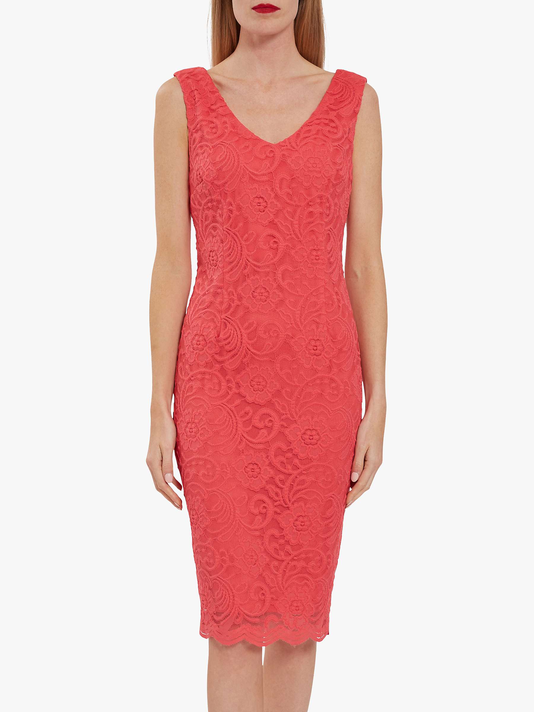 Gina Bacconi Phylis Stretch Floral Lace ...