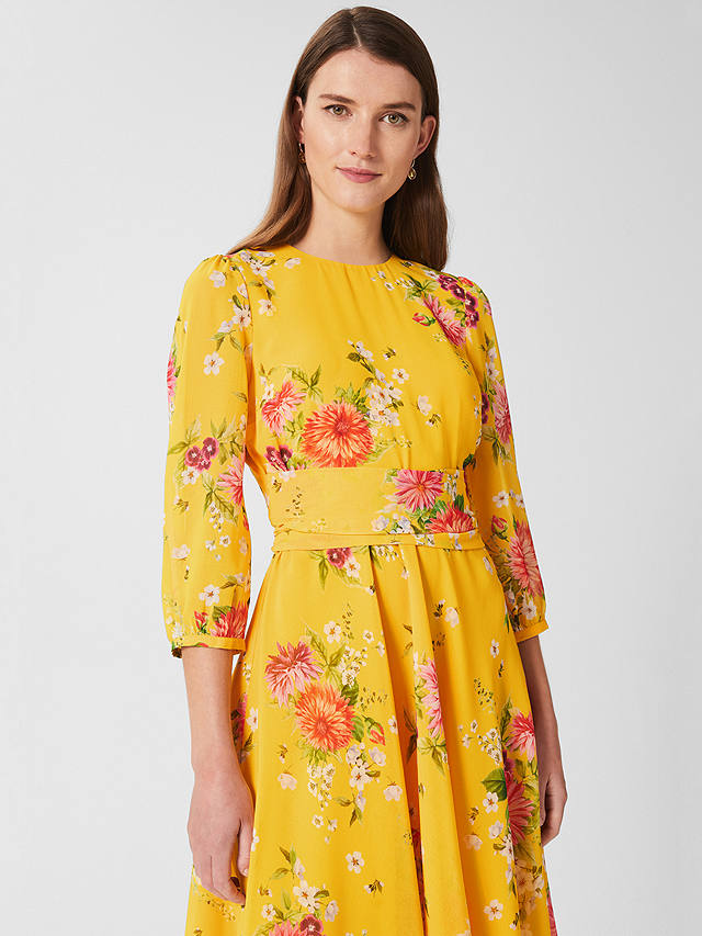 Hobbs Jasmina Floral Print Dress, Yellow