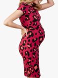 Tilbea Matilda Leopard Print Maternity & Nursing Dress