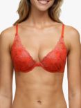 Passionata White Nights Push Up Bra