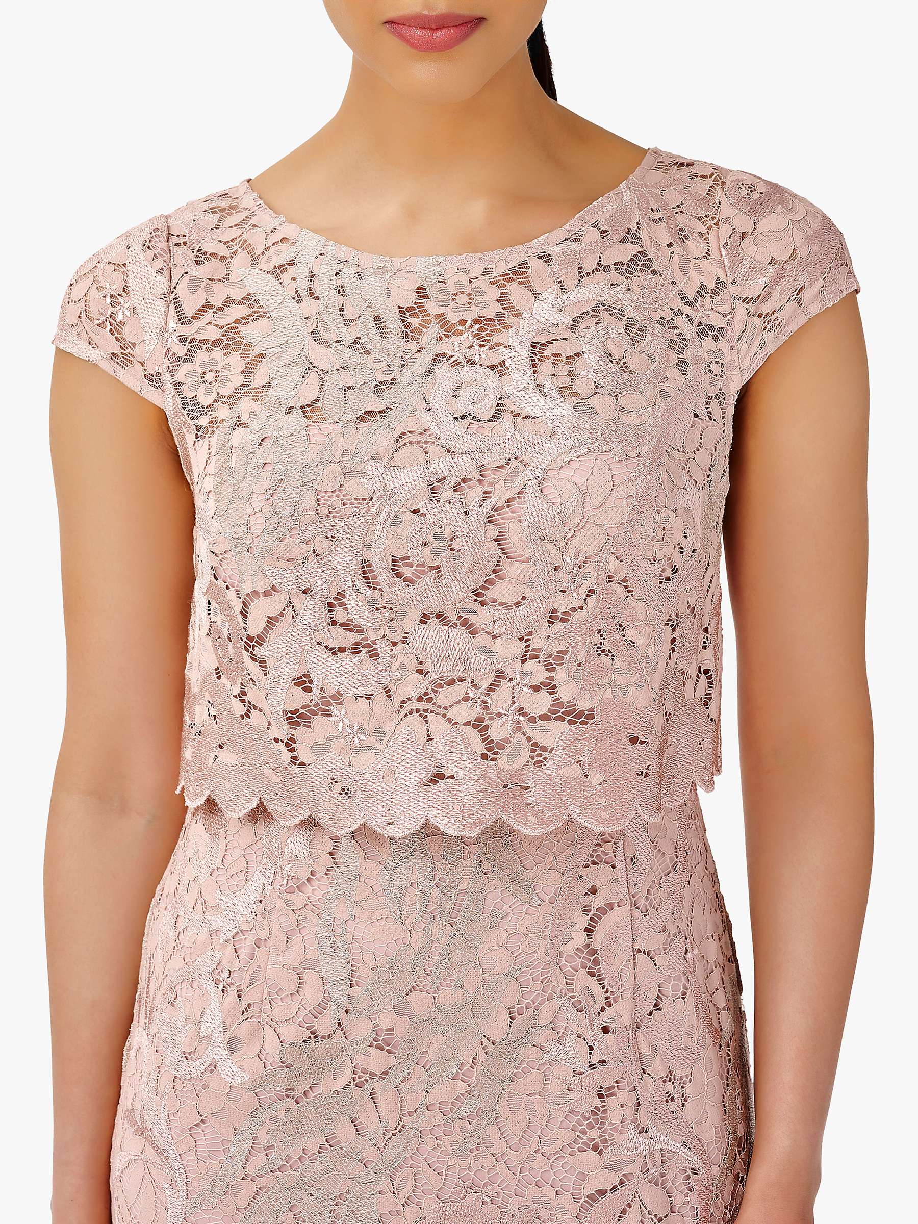 desconcertado Puno ingresos Adrianna Papell Embroidered Lace Maxi Dress, Dusty Rose at John Lewis &  Partners